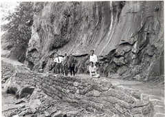Ascent and Descent: The Climbing History of Zion