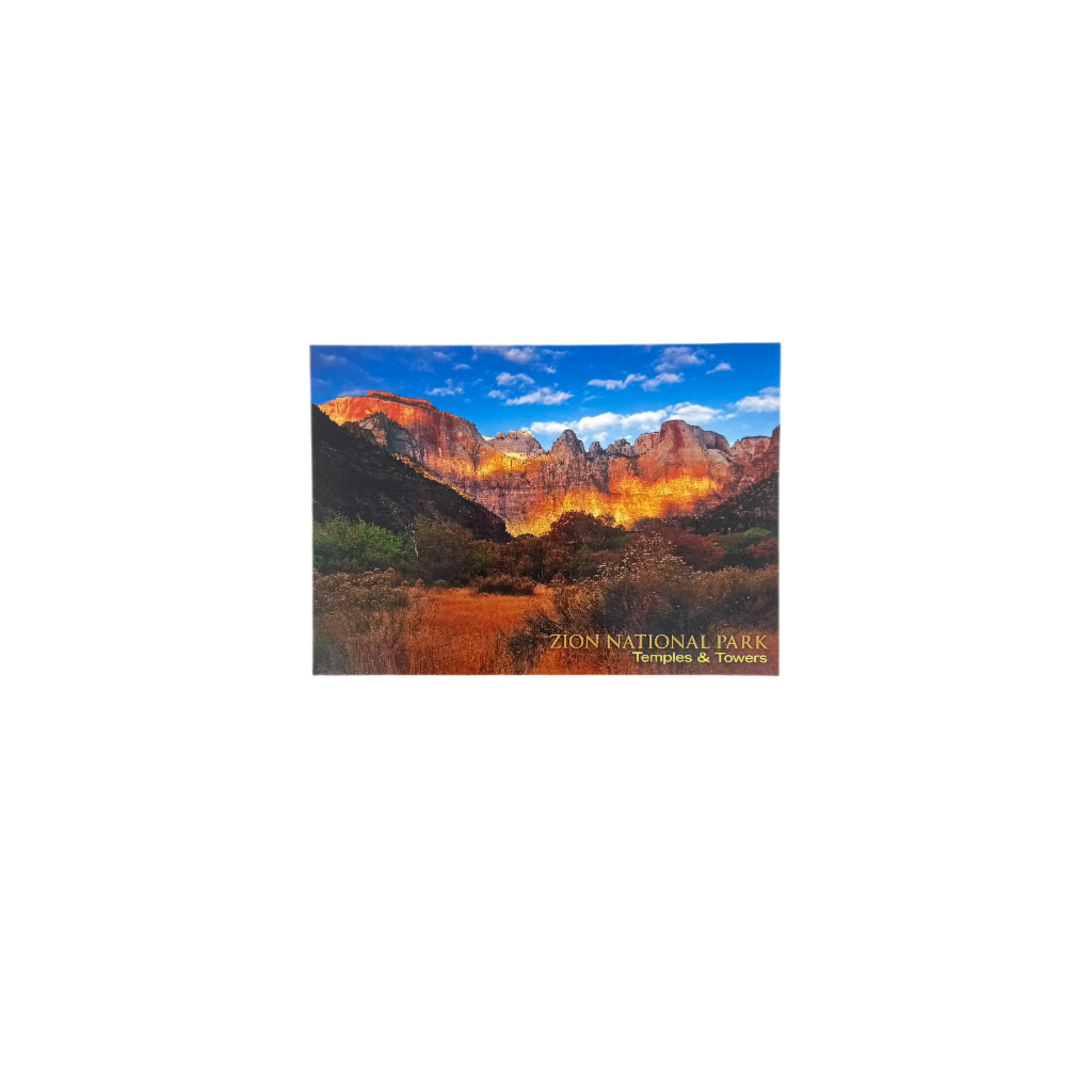 Postcard - 4X6 Impact - Zion Natl Park Forever Project