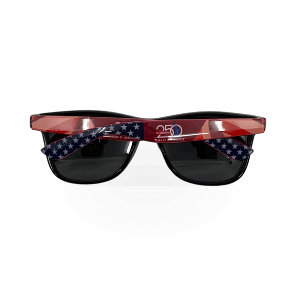 Desert Sunglass of Scottsdale America 250 polarized safety sunglasses with full frame and tinted lenses.