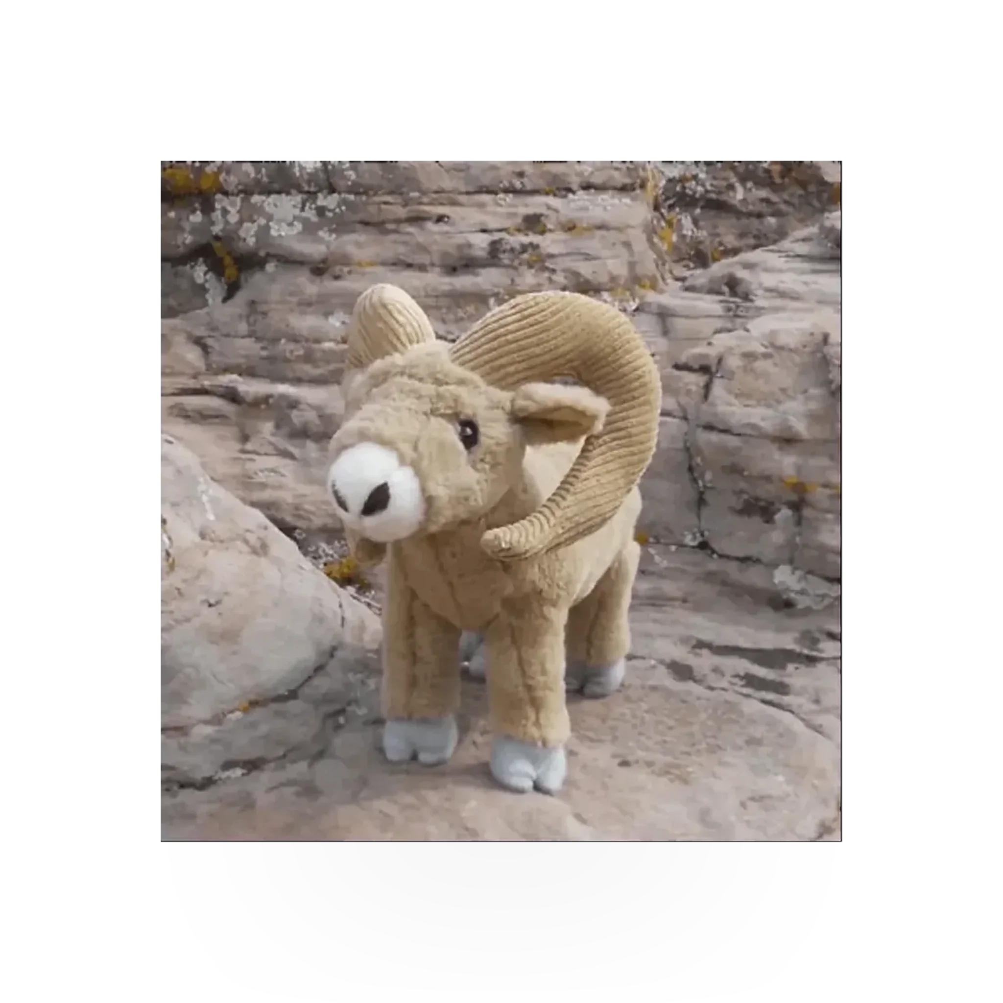 Adopt-A-Bighorn - Plush Zion Custom