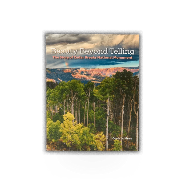 Book titled "The Story of CEBR National Monument" by ZNHA, featuring a cover illustration and title text.