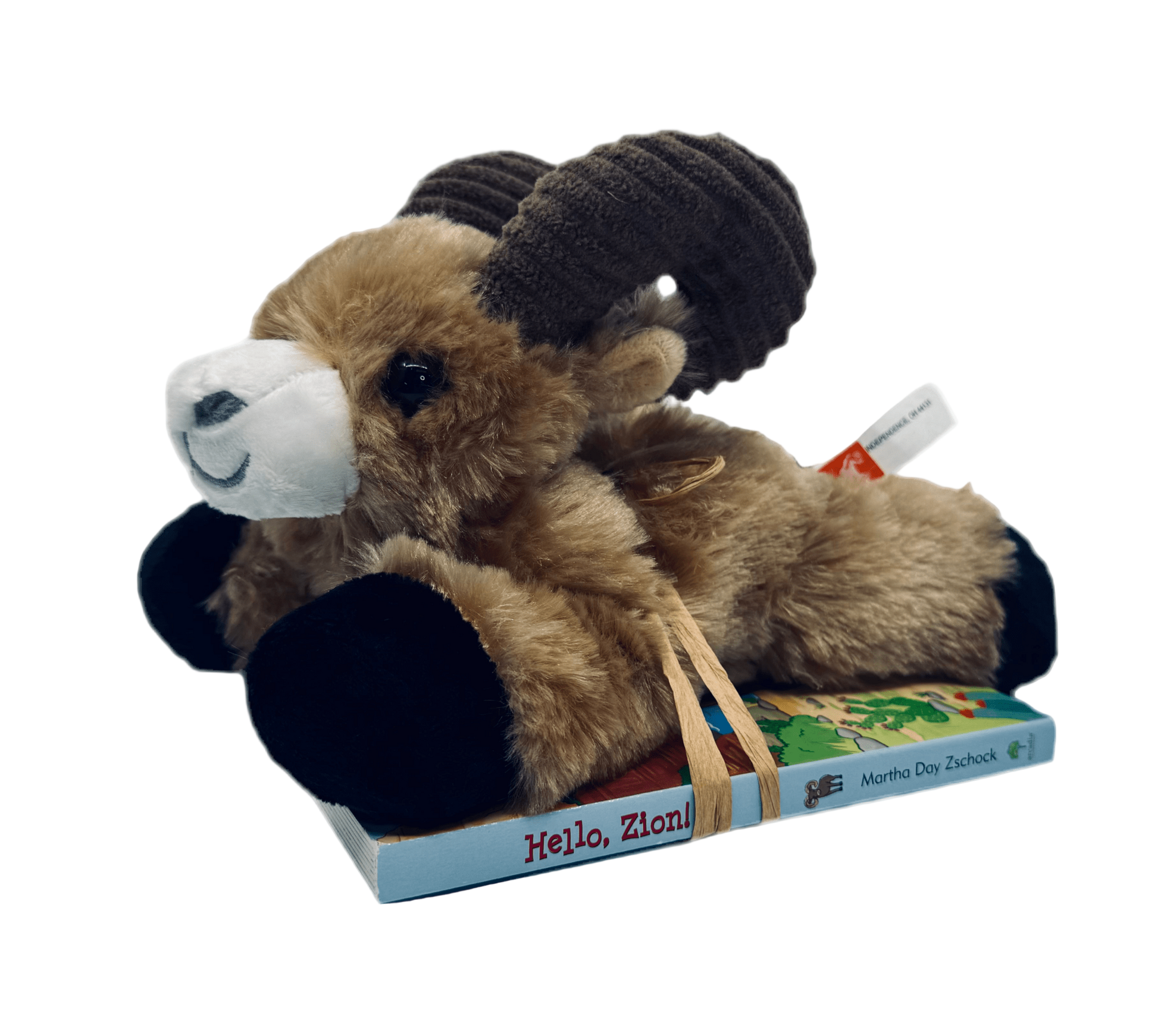 Combo - Hello Zion Book & Bighorn Hug'em - Zion Natl Park Forever Project