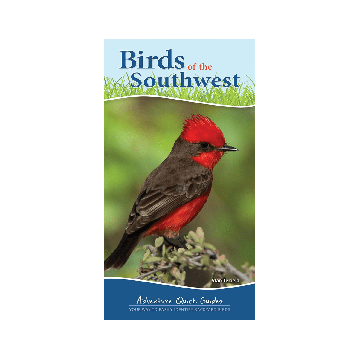Guide - Birds Of The Southwest Quick Guide - Zion Natl Park Forever Project