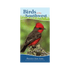 Guide - Birds Of The Southwest Quick Guide - Zion Natl Park Forever Project