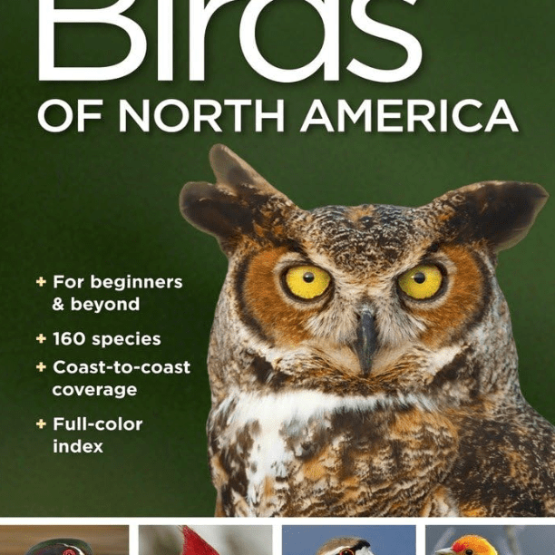 Guide - Nat Geo Pocket Birds Of North America - Zion Natl Park Forever Project