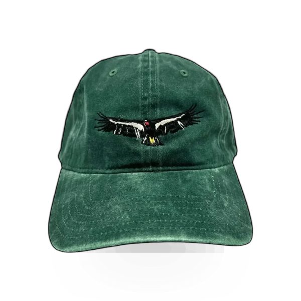 Concept 360 Condor theme hat featuring a stylish design and comfortable fit, ideal for casual wear.