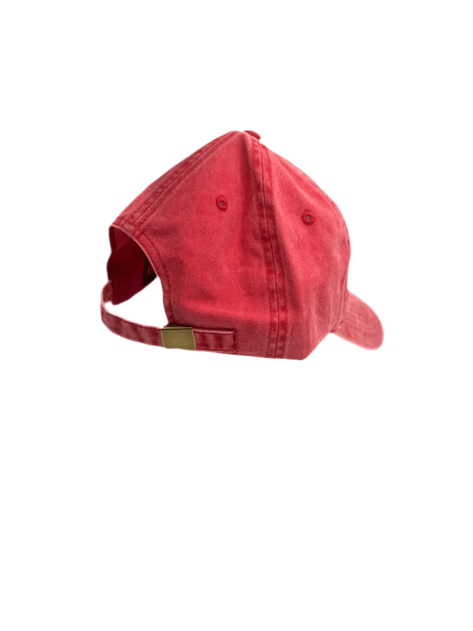 Hat - GWT - Zion Natl Park Forever Project