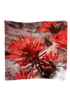 Headband - Indian Paintbrush CEBR - Zion Natl Park Forever Project