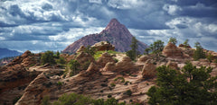 Windows to Zion’s Past: A Digital Museum Revolution