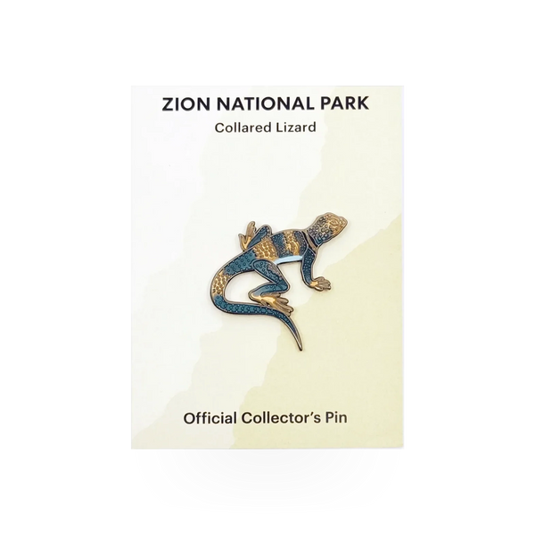 Eagle River Designs collared lizard themed pin featuring a detailed illustration of a collared lizard on a metal pin.