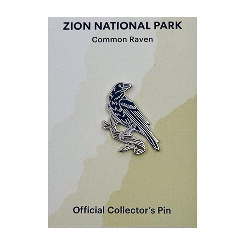 Pin - Animal - Common Raven - Zion Natl Park Forever Project