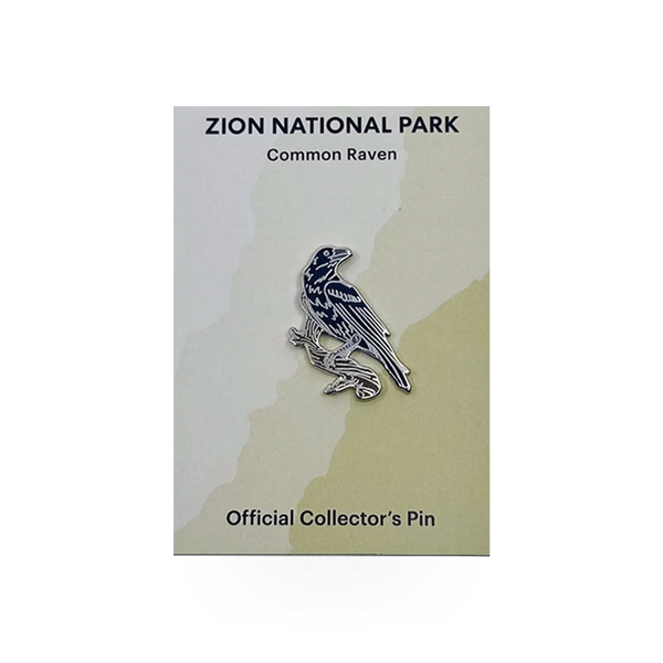Eagle River Designs animal theme pin featuring a detailed common raven illustration on a metal pin.