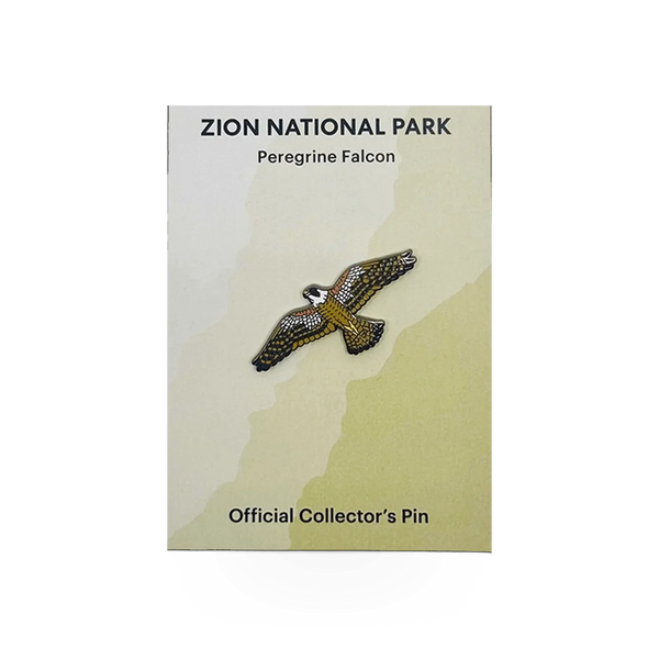 Eagle River Designs peregrine falcon animal theme pin featuring a detailed illustration of the bird of prey.