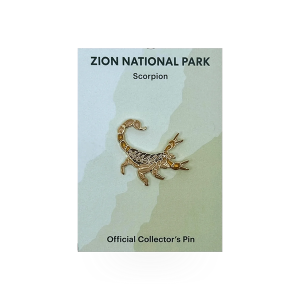 Eagle River Designs animal theme pin featuring a detailed scorpion design on a metallic pin backing.