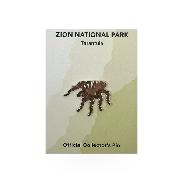Eagle River Designs animal theme pin featuring a detailed tarantula spider illustration.