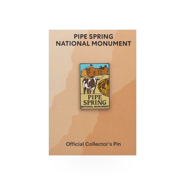 Eagle River Designs PISP theme pin featuring a detailed design on a small, decorative pin for accessories or clothing.