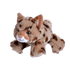 Plush - Bobcat - - Zion Natl Park Forever Project