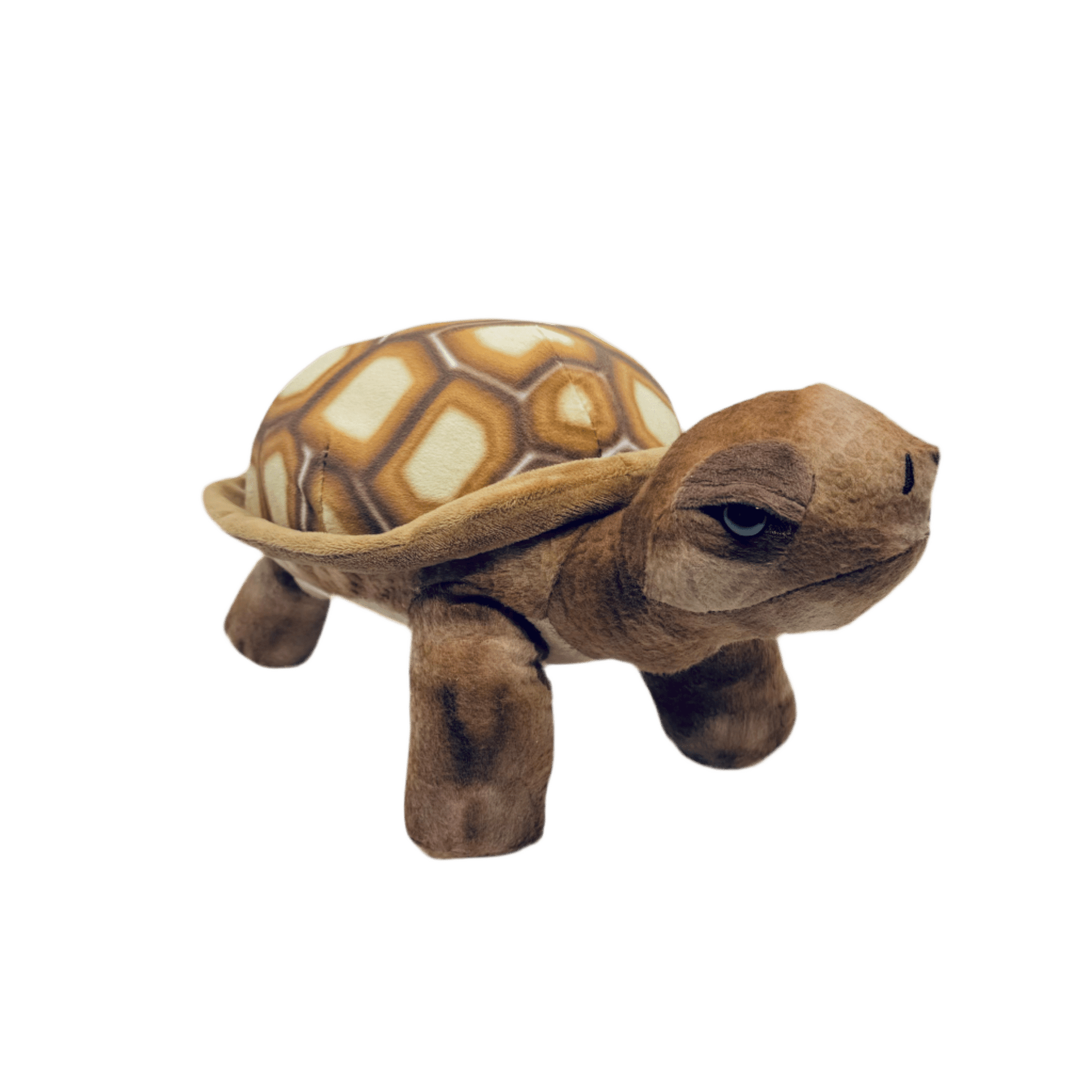 Plush - Desert Tortoise - Zion Natl Park Forever Project