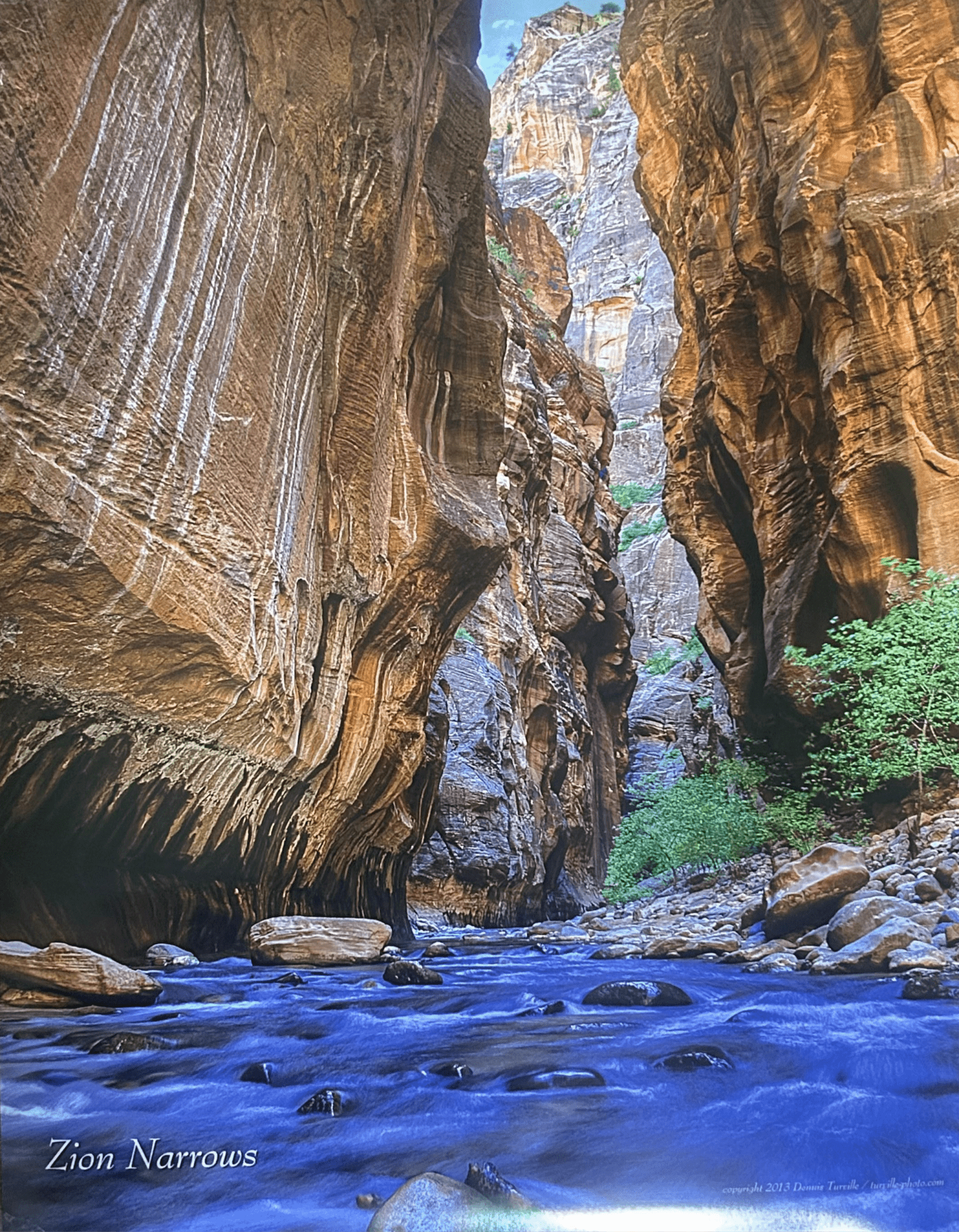 Poster - Turville Lower Narrows - D - Zion Natl Park Forever Project