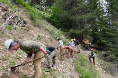 Improving Wilderness Trails in the Pine Valley Mountains