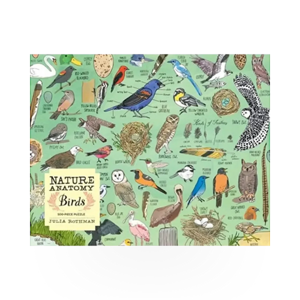 Puzzle featuring detailed illustrations of various bird species from the Nature Anatomy Birds collection by Hachette Book Group USA.
