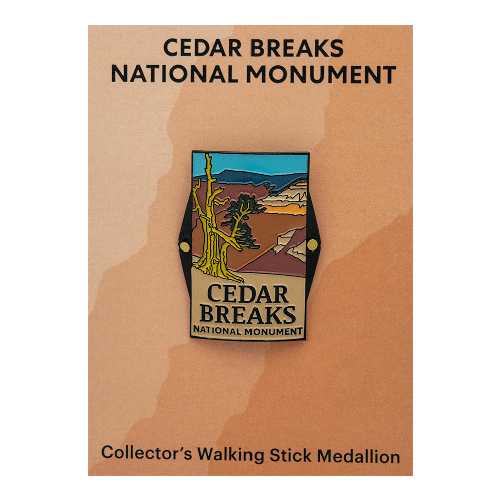 Hiking Stick Medallion - CEBR - Zion Natl Park Forever Project