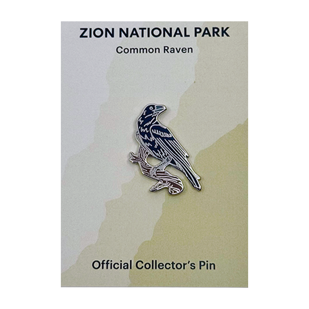 Pin - Animal - Common Raven - Zion Natl Park Forever Project