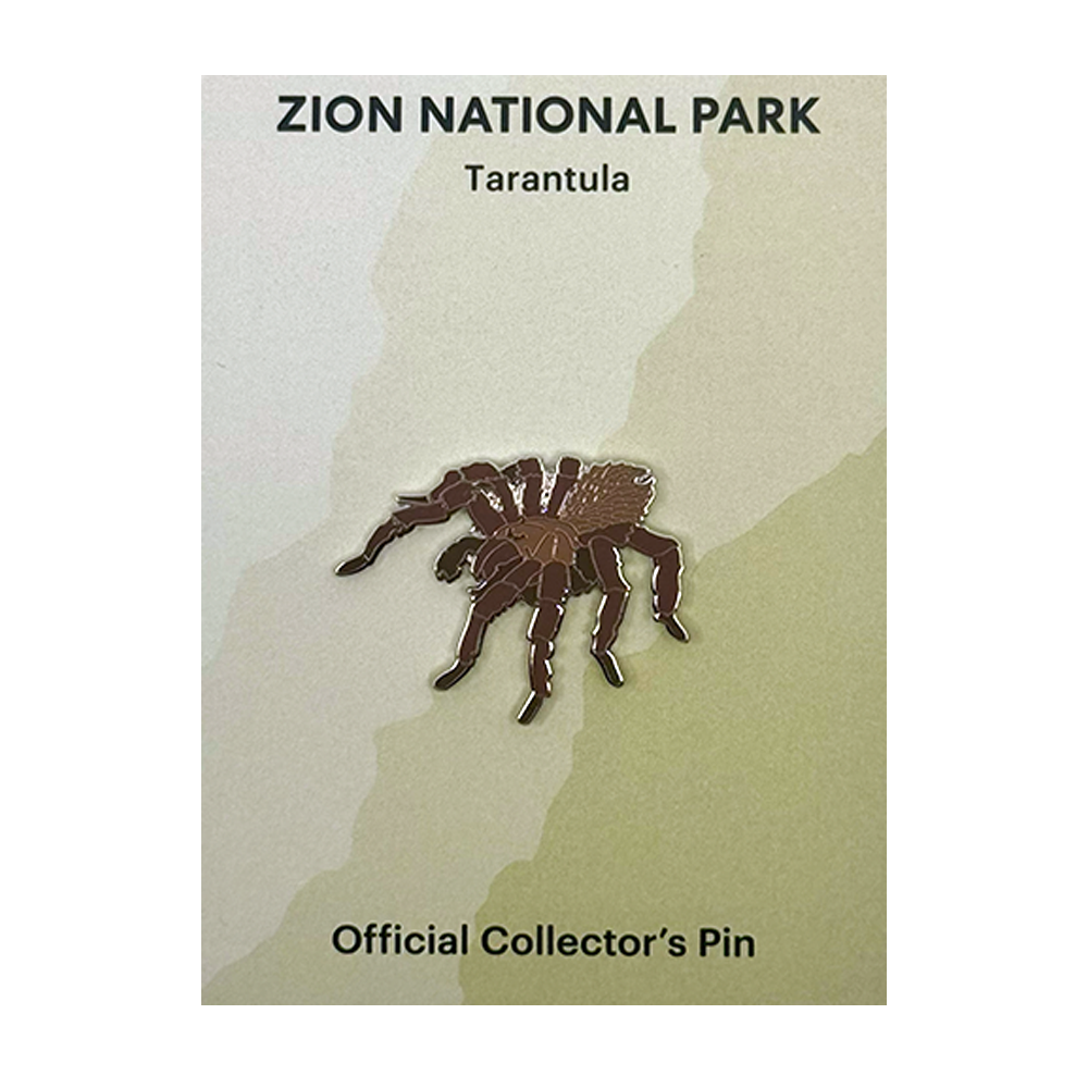 Pin - Animal - Tarantula - Zion Natl Park Forever Project