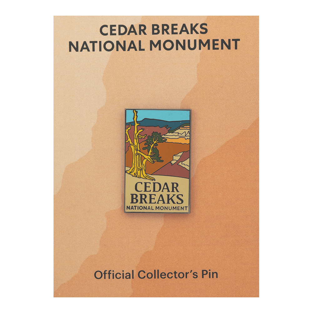 Pin - CEBR - Zion Natl Park Forever Project