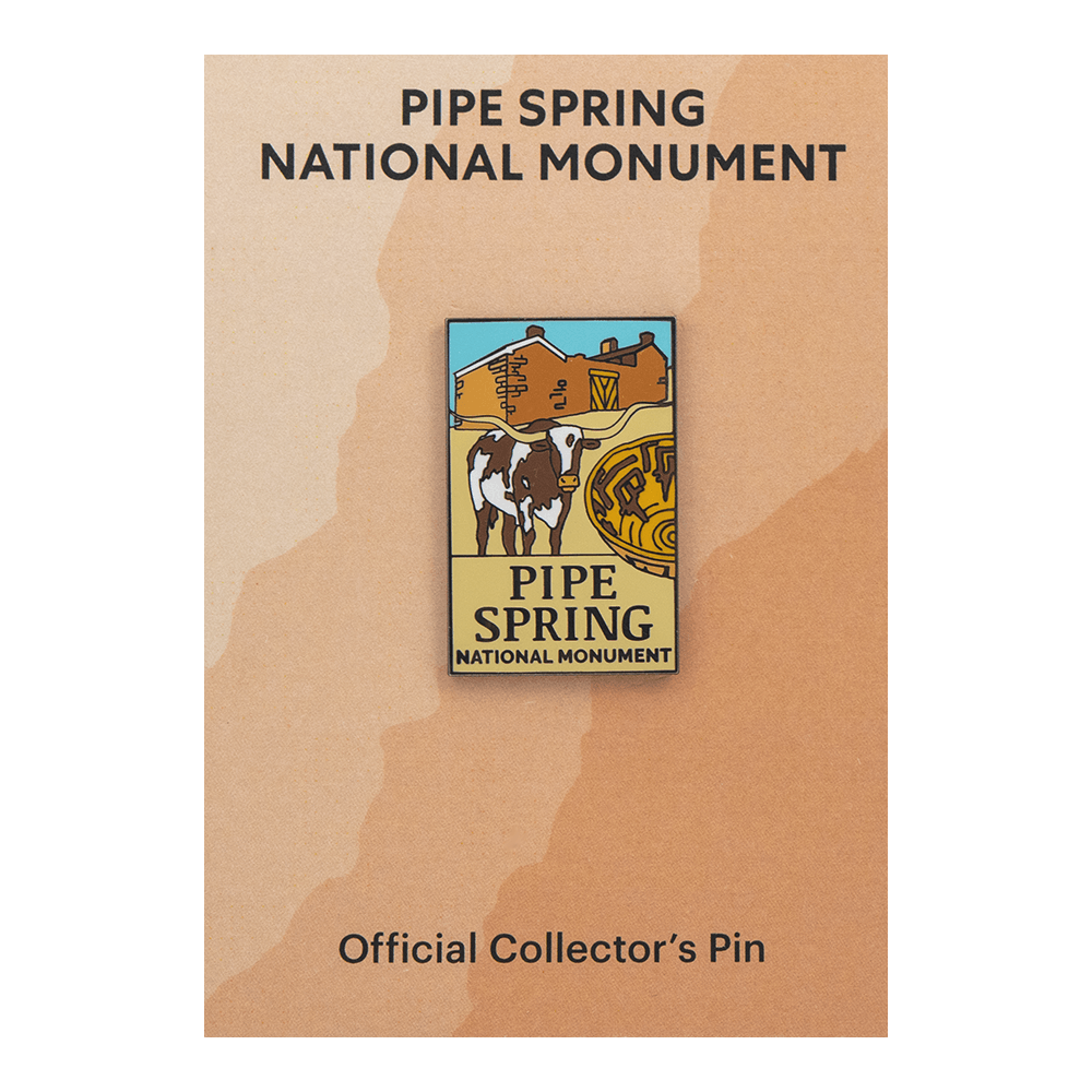 Pin - PISP - Zion Natl Park Forever Project
