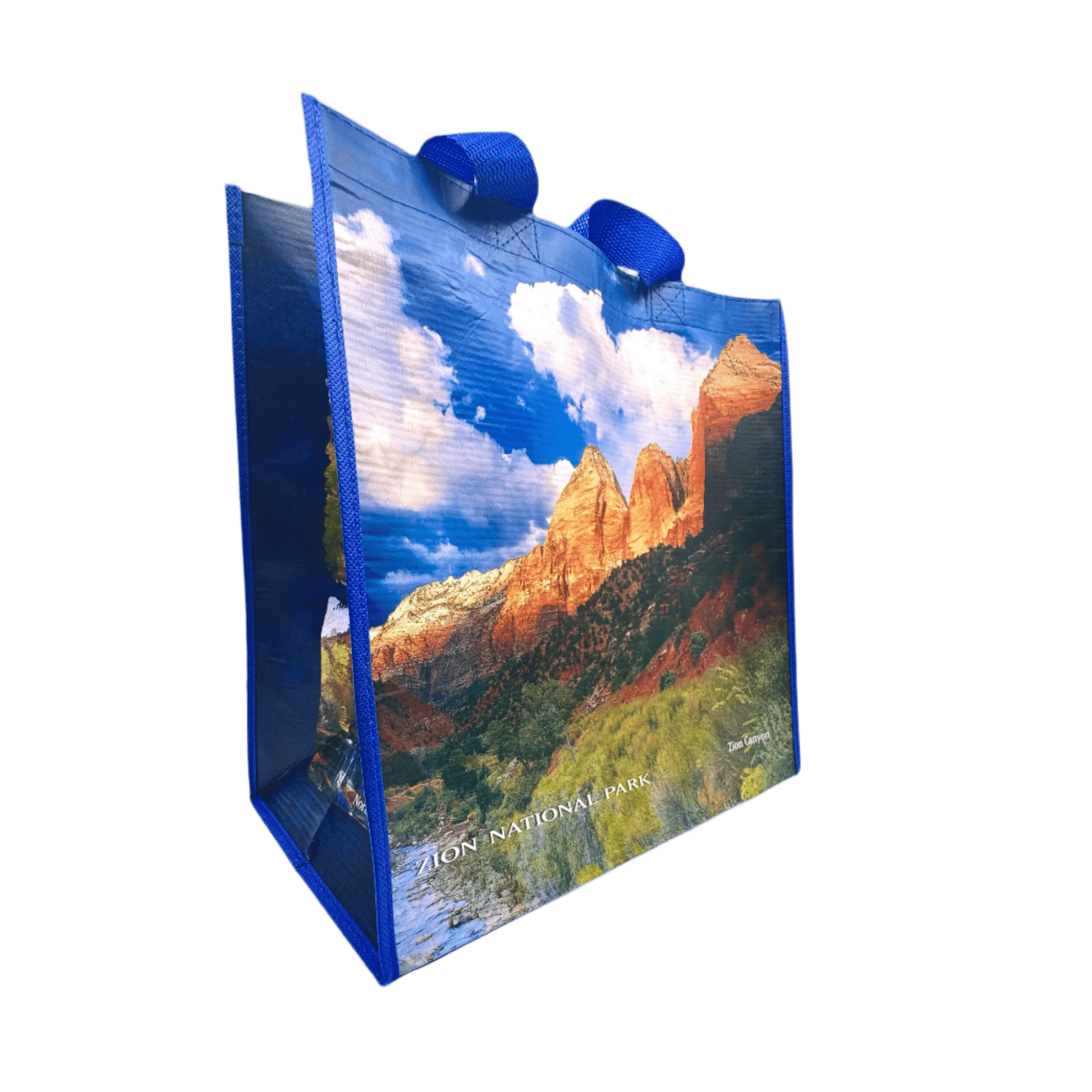 Tote - Zion SM - 72029-RBG1 - Zion Natl Park Forever Project