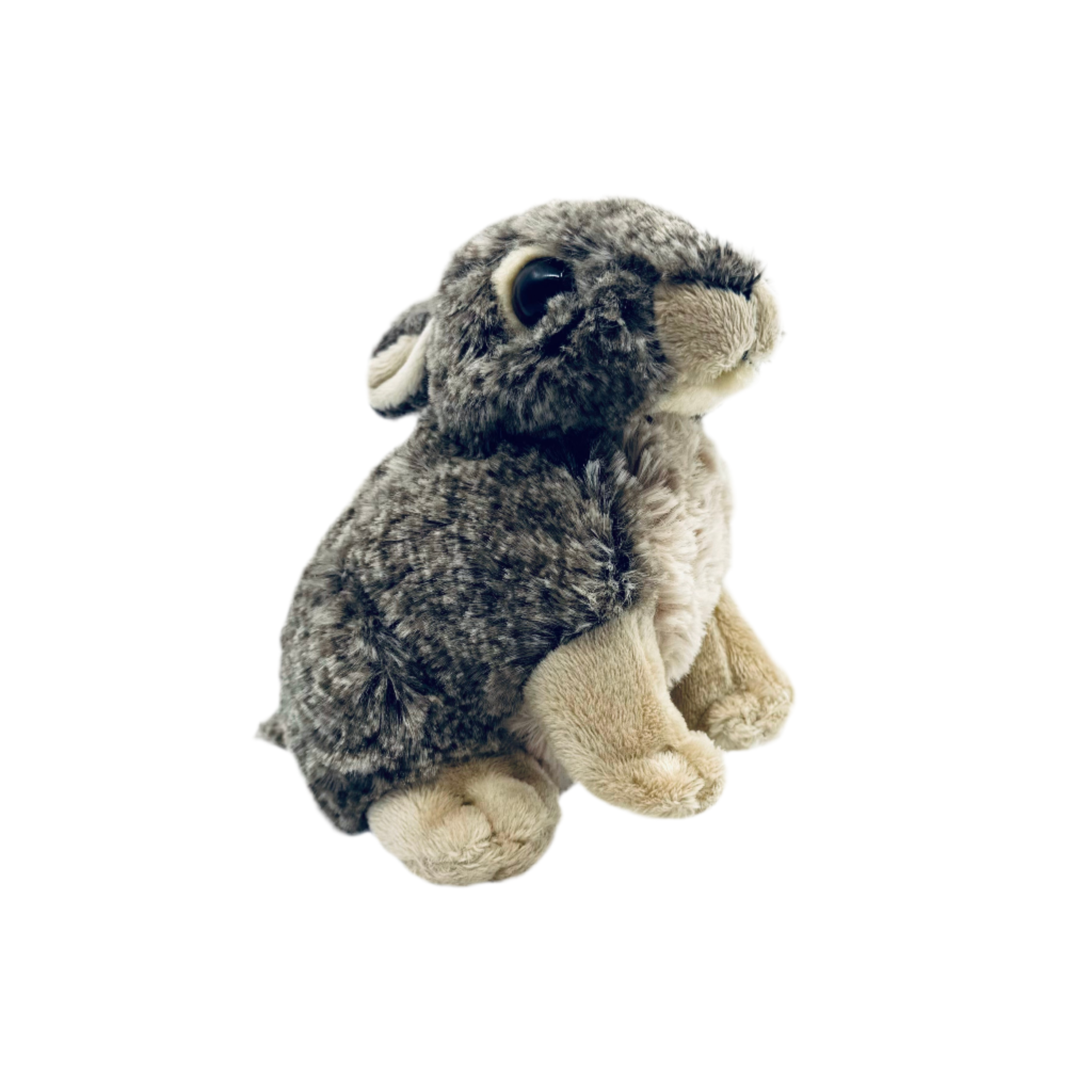 Plush - Jackrabbit - - Zion Natl Park Forever Project