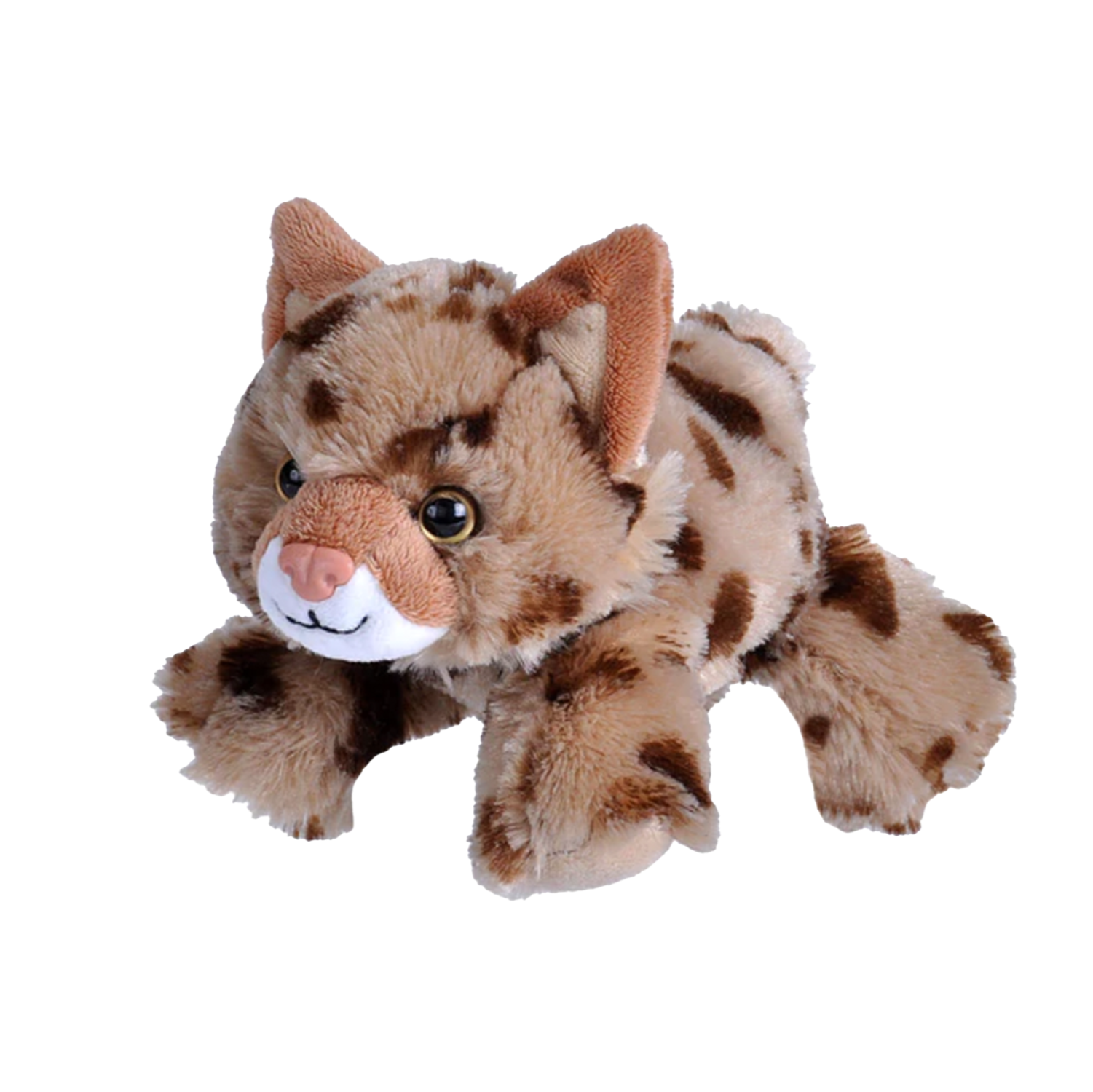 Plush - Bobcat - - Zion Natl Park Forever Project