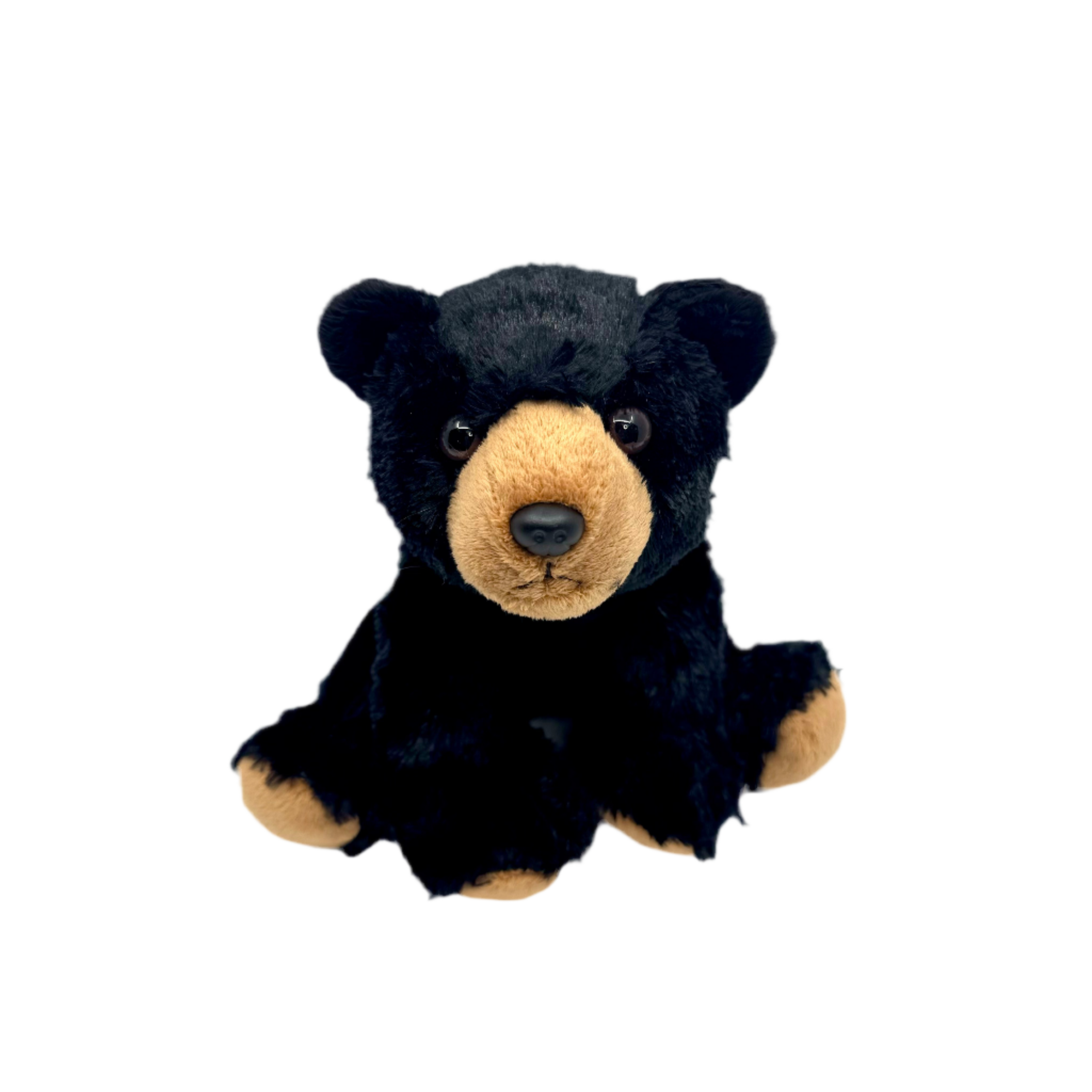 Plush - Black Bear - - Zion Natl Park Forever Project