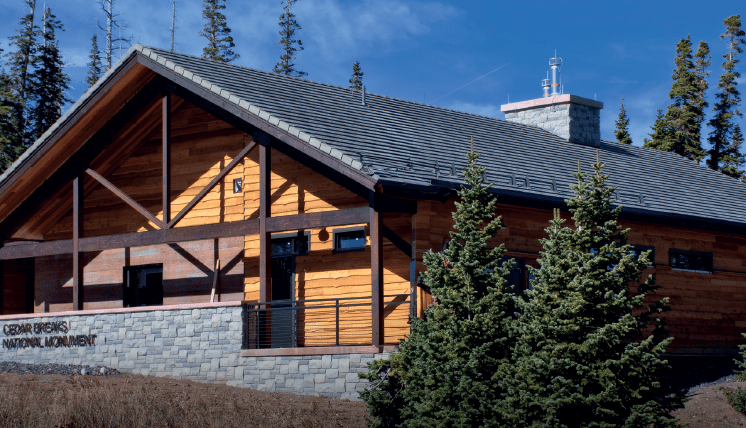 High Elevation Updates from Cedar Breaks