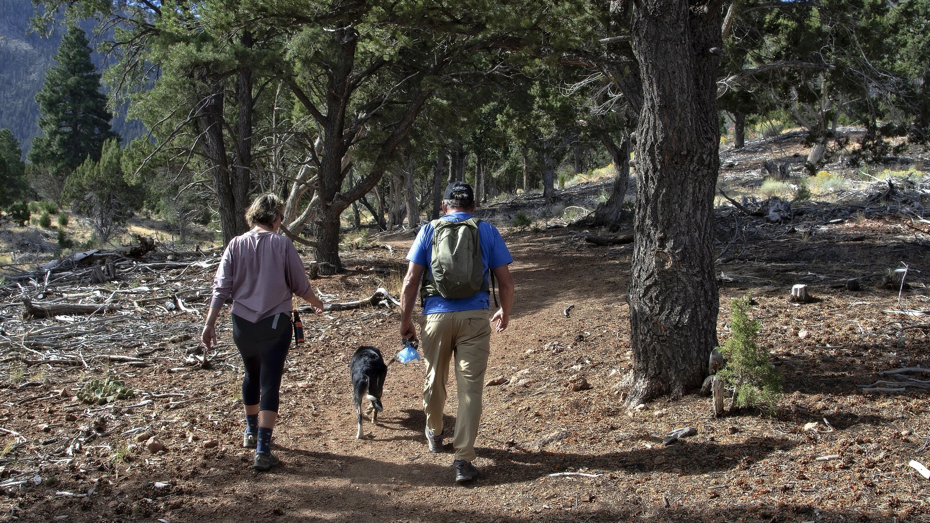 Connecting Visitors with Responsible Recreation