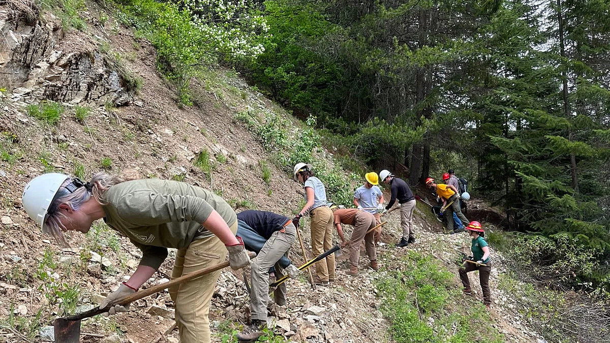 Improving Wilderness Trails in the Pine Valley Mountains