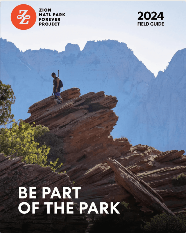 Selected 2024 Field Guide Project Updates