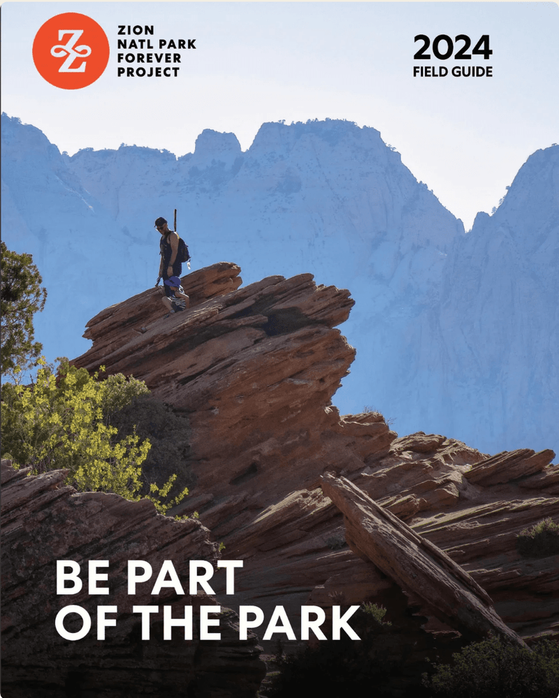 Selected 2024 Field Guide Project Updates