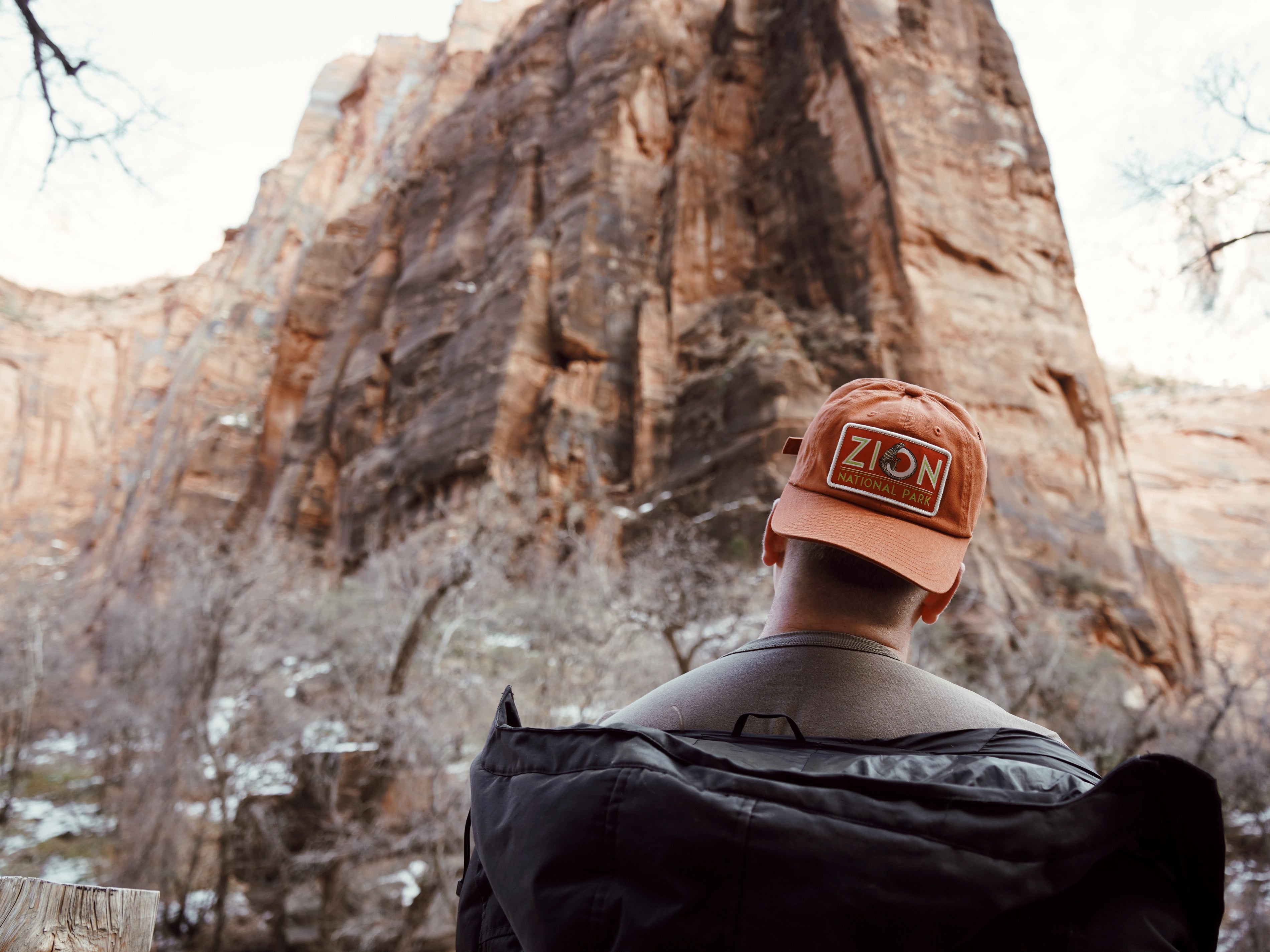 Shopping for a Cause