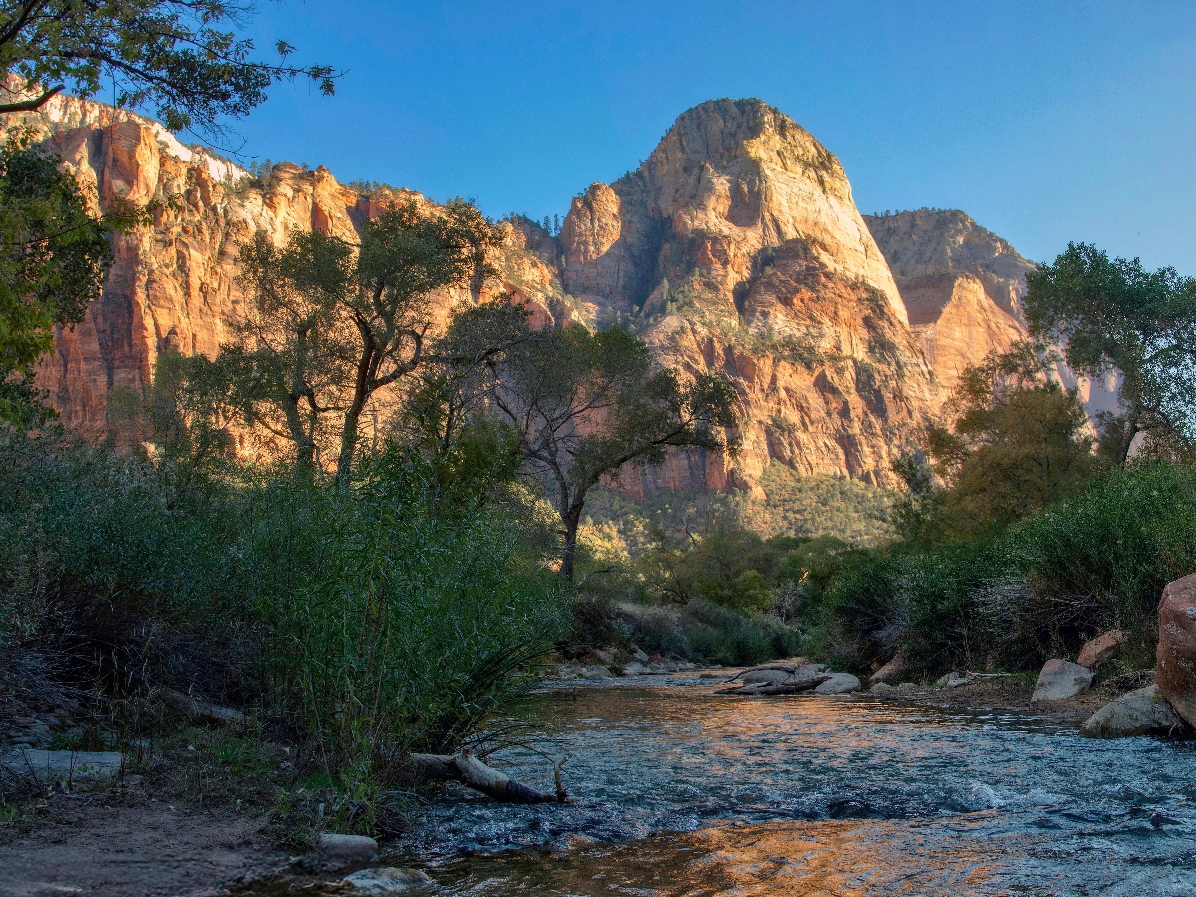 Supporting Staff – the Isabel’s Light Employee Wellness Fund