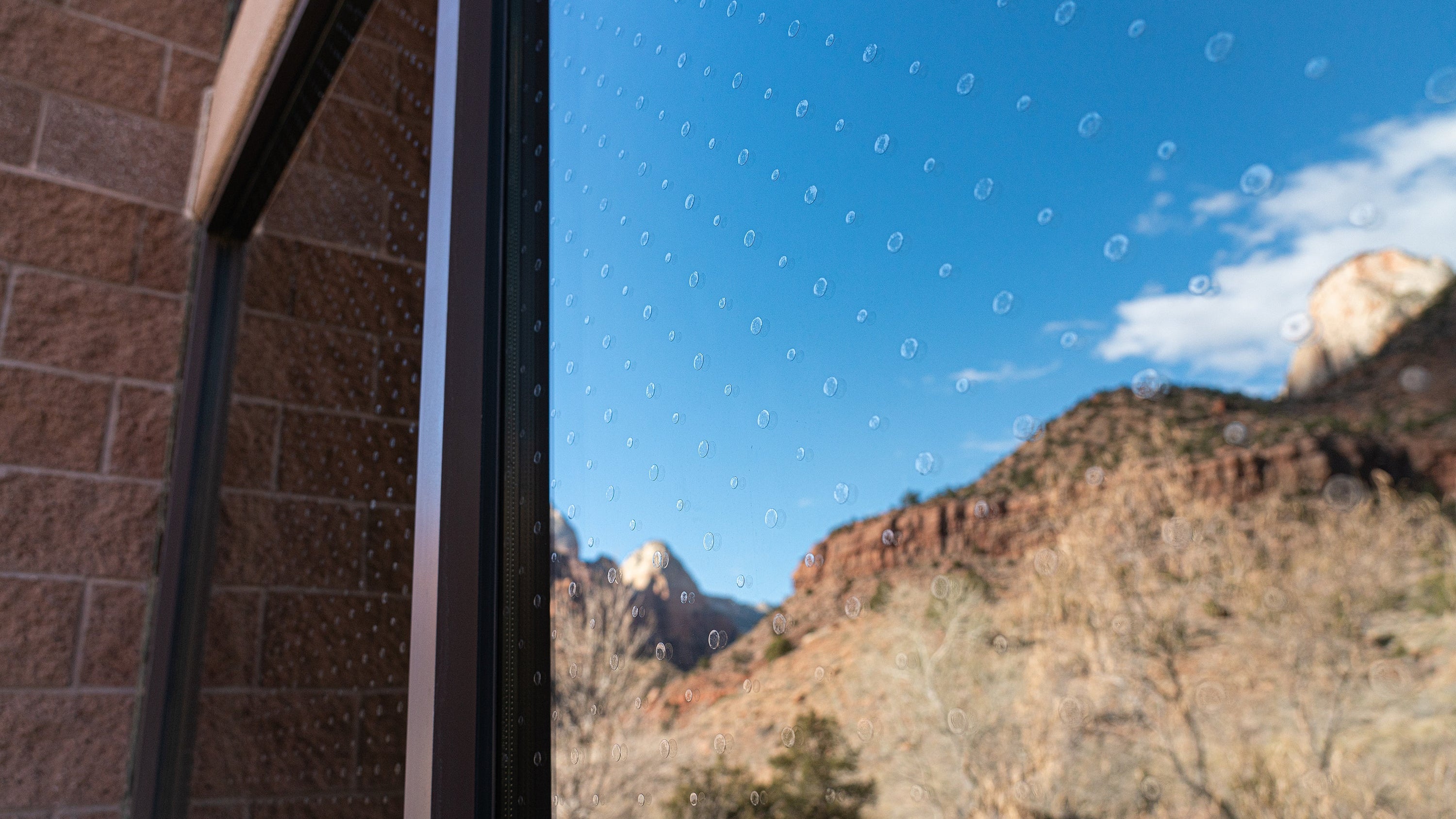 Windows for Wildlife: Protecting Zion’s Feathered Friends