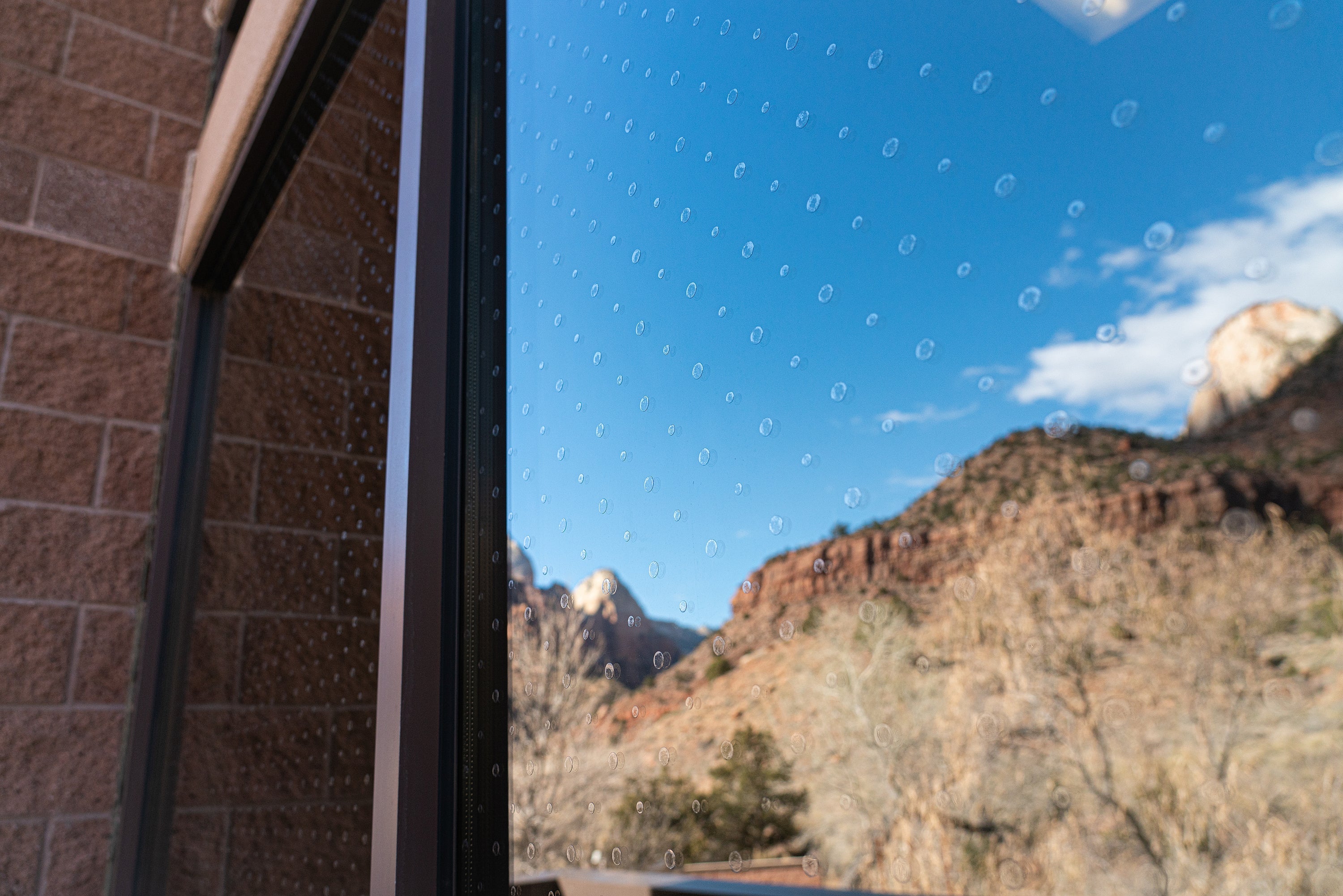 Windows for Wildlife: Protecting Zion’s Feathered Friends