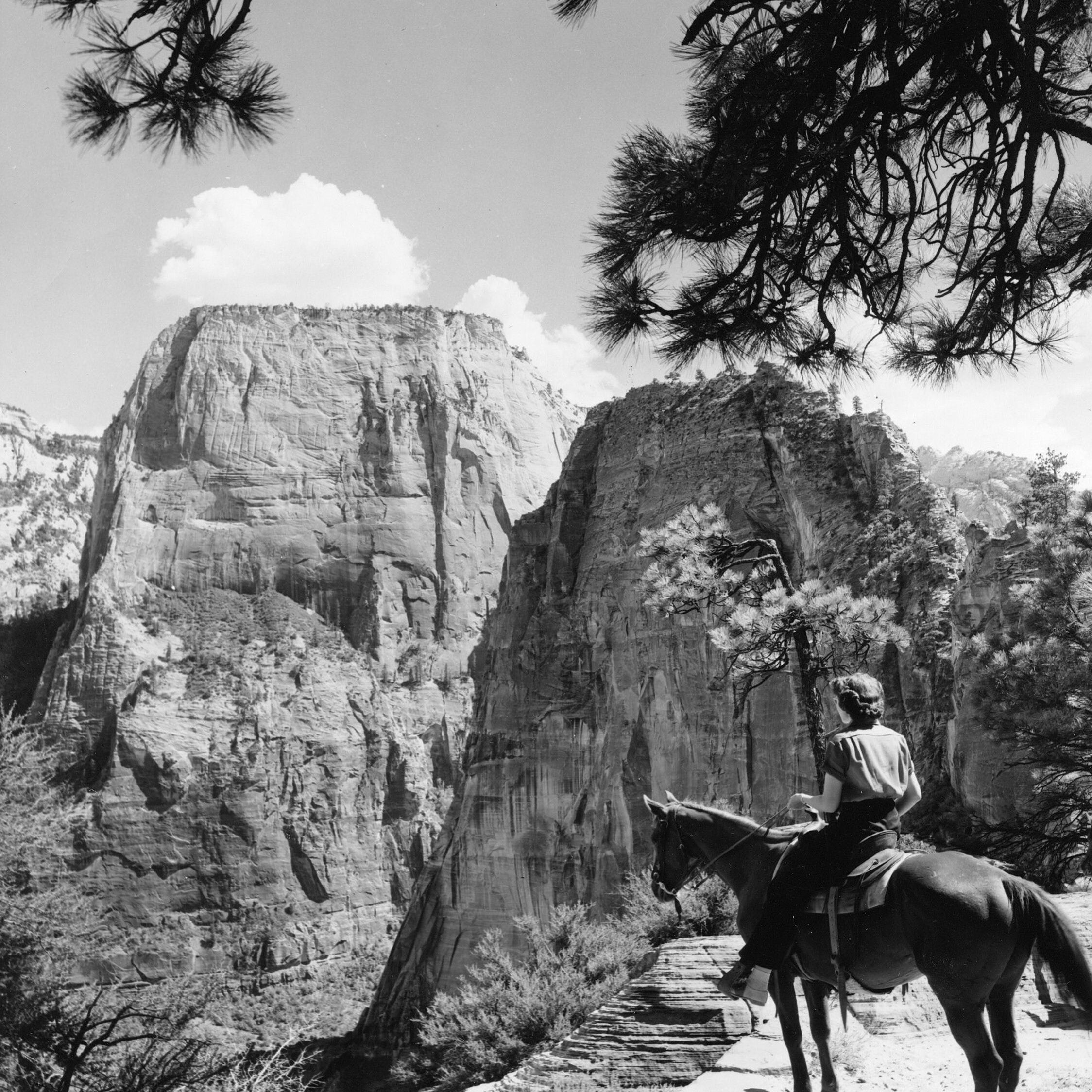 Windows to Zion’s Past: A Digital Museum Revolution
