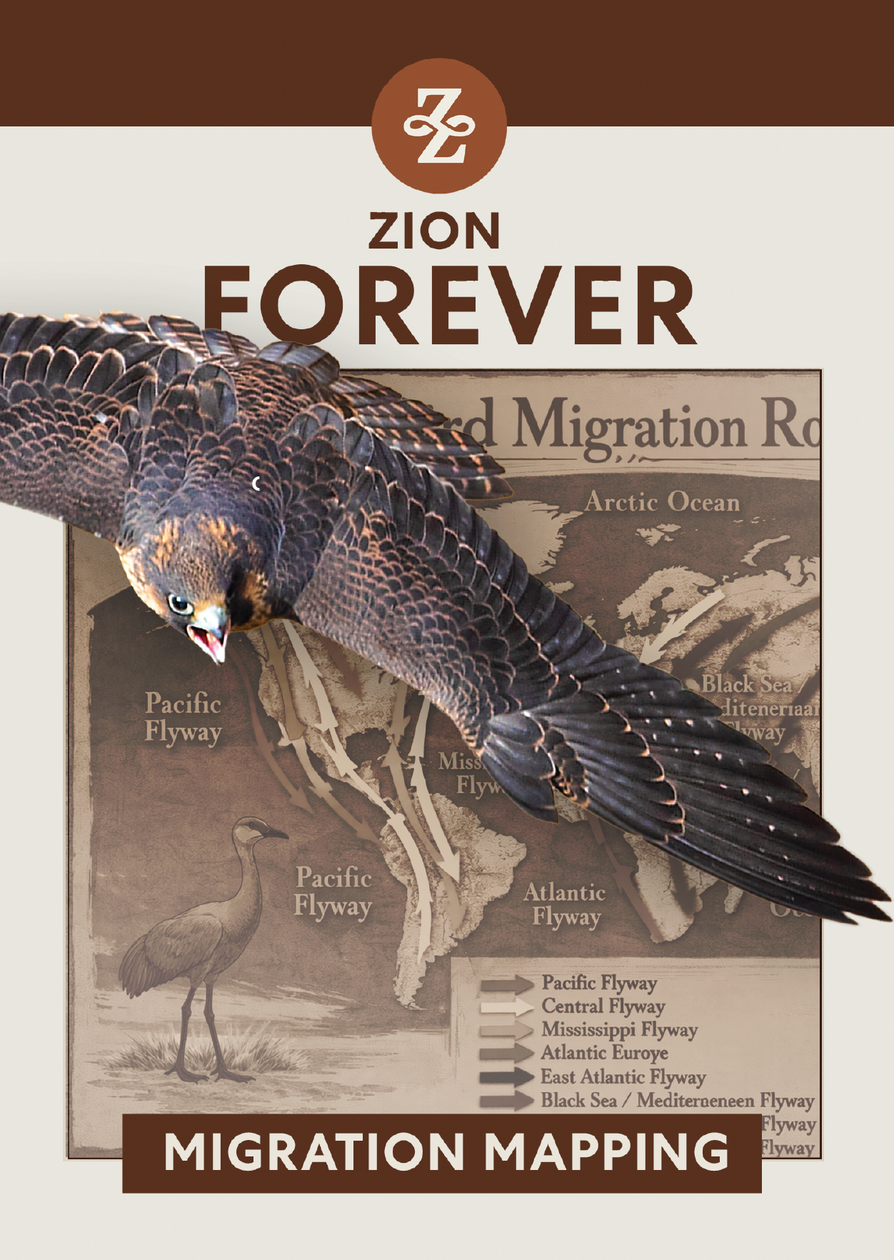 Mapping Migratory Species – Zion Region Motus Towers