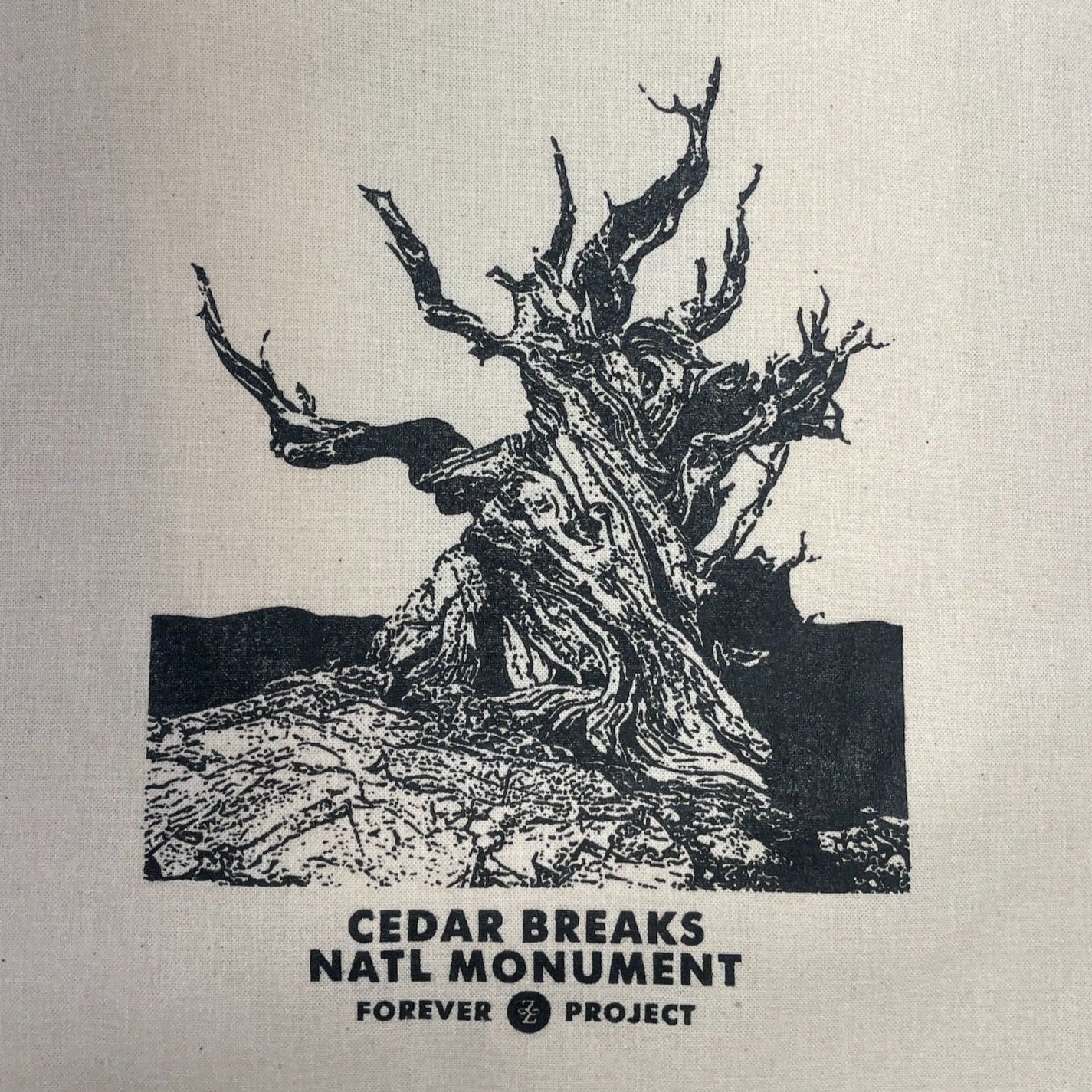 Tote - Bristlecone CEBR - Zion Natl Park Forever Project
