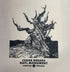 Tote - Bristlecone CEBR - Zion Natl Park Forever Project