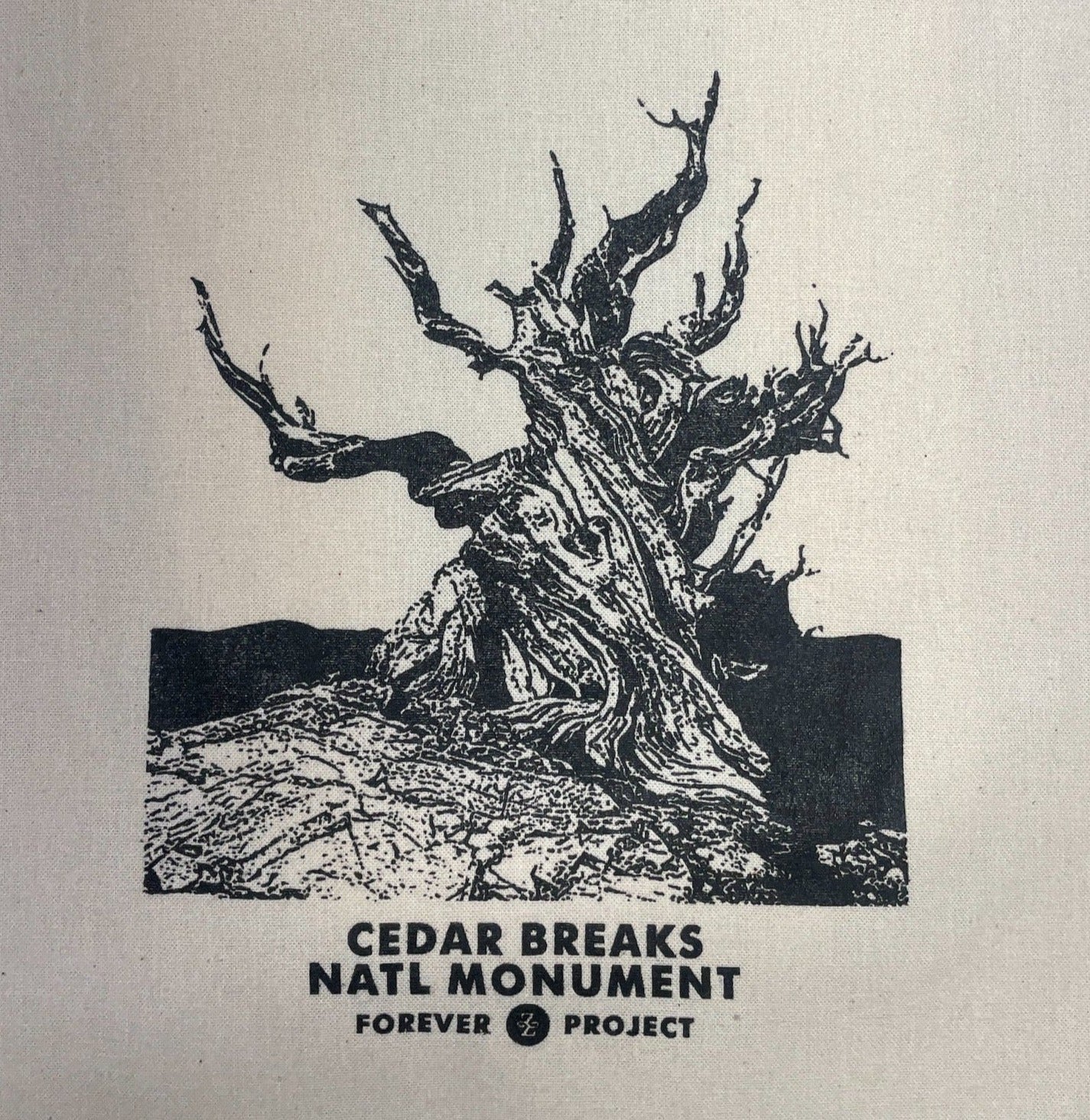 Tote - Bristlecone CEBR - Zion Natl Park Forever Project