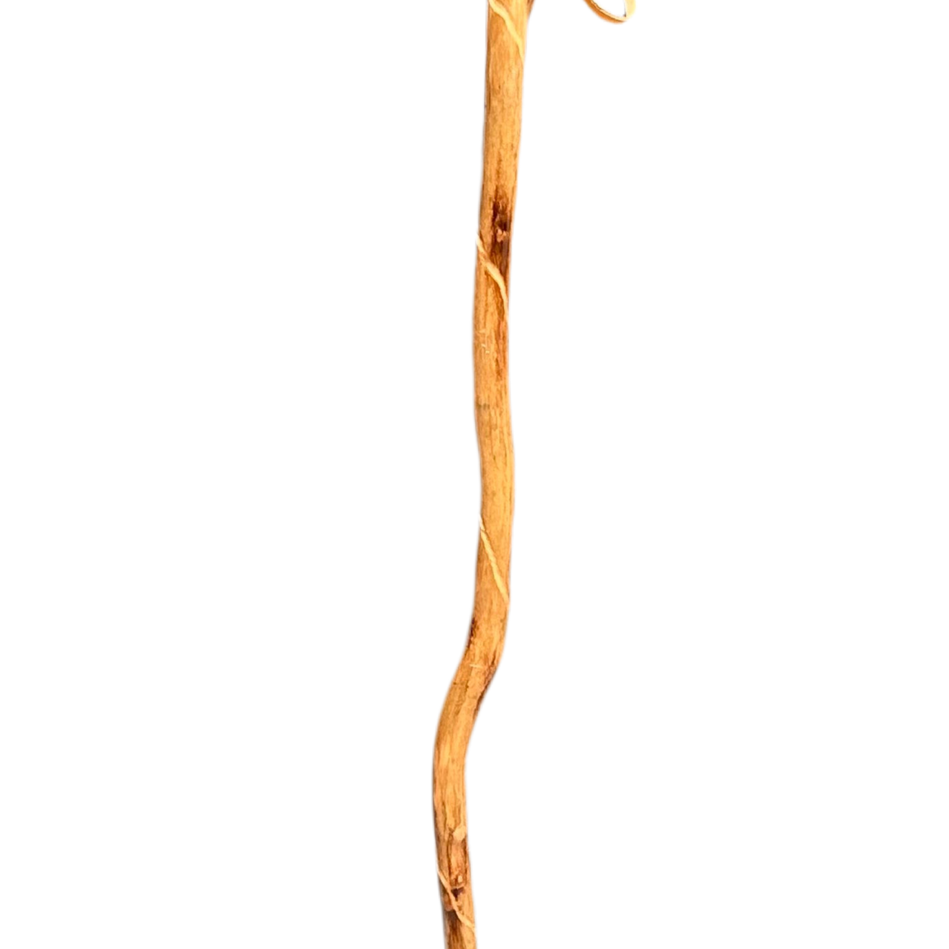 Walking Stick - Compass - Zion - 92313-HS55 - Zion Natl Park Forever Project