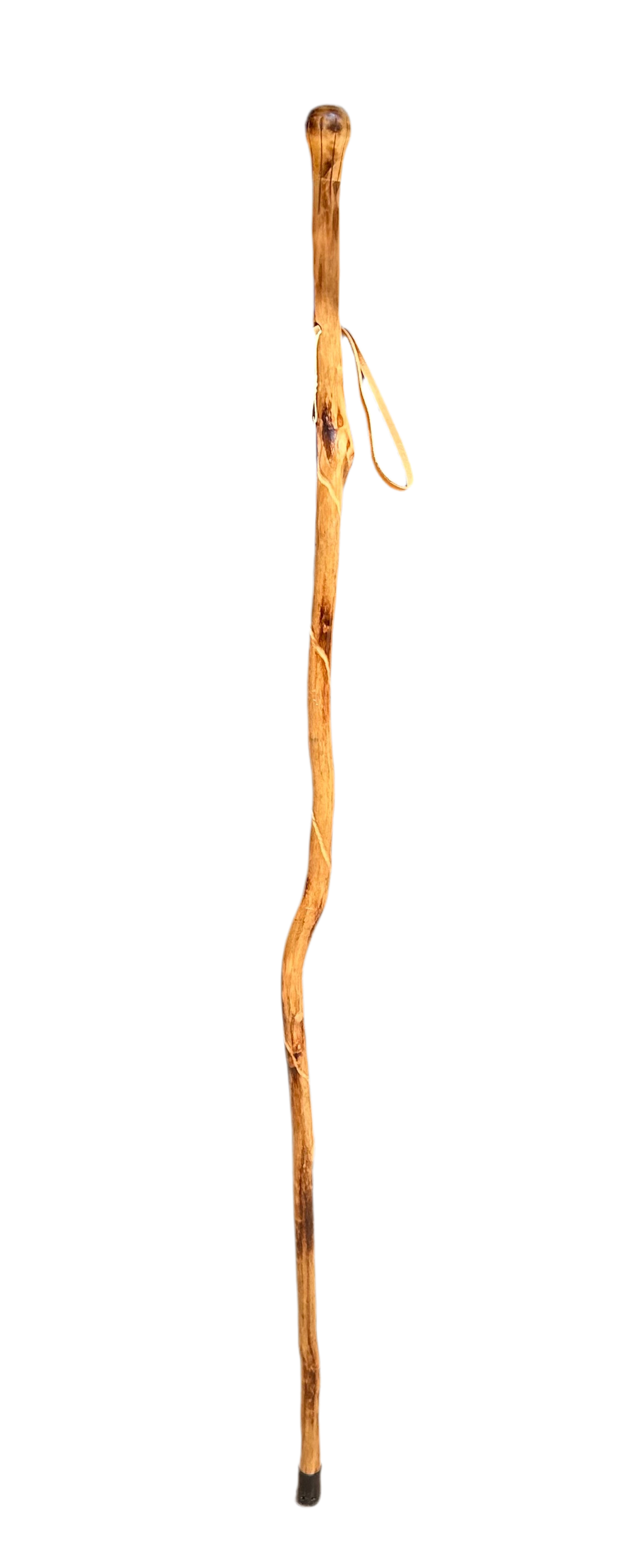 Walking Stick - Compass - Zion - 92313-HS55 - Zion Natl Park Forever Project